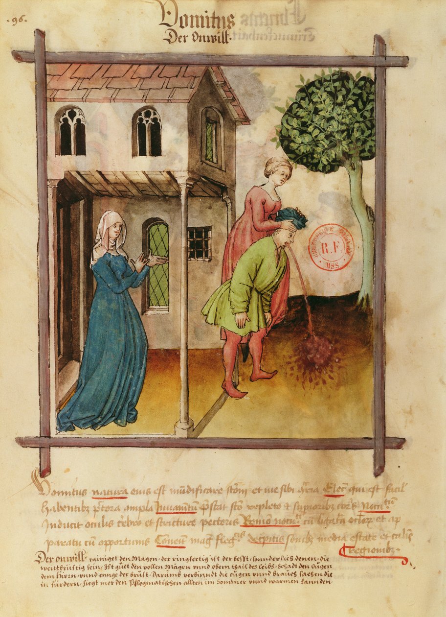 Ms Lat 9333 fol.96v Man Kusma, Tacuinum Sanitatis'ten by German School