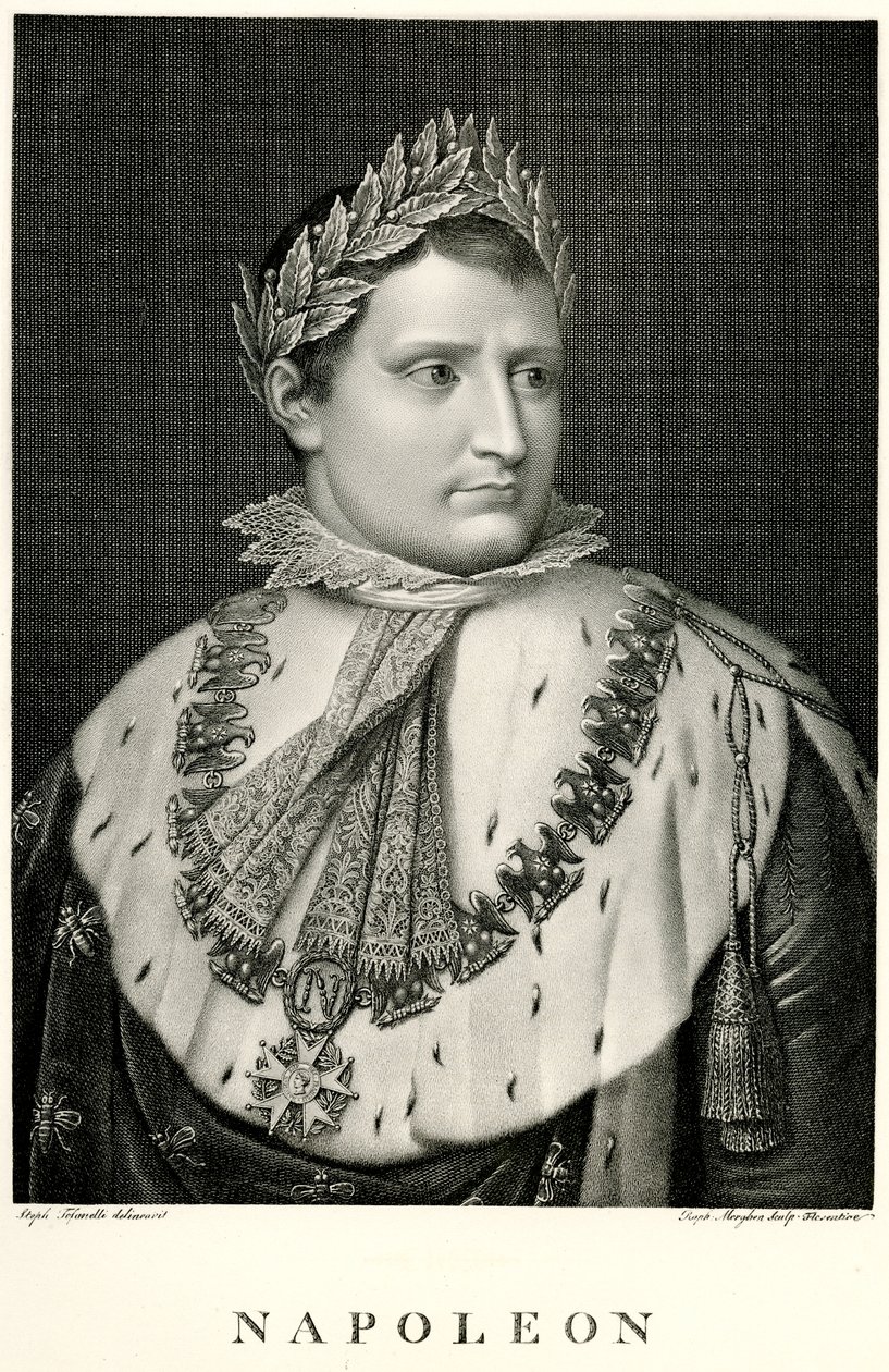 Napolyon I., 1884-90 (fototip) by German School
