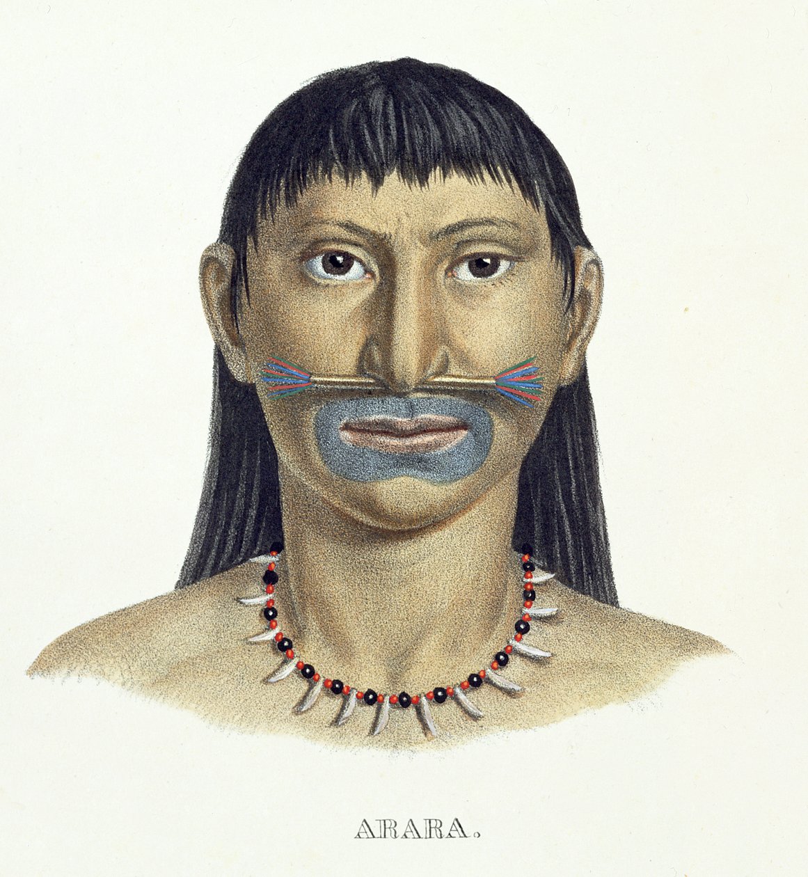 Arara kabilesinin yerli adamı, Johann Baptist von Spix (1781-1826) ve Karl Friedrich Philipp Martius (1794-1868) tarafından Brezilya
