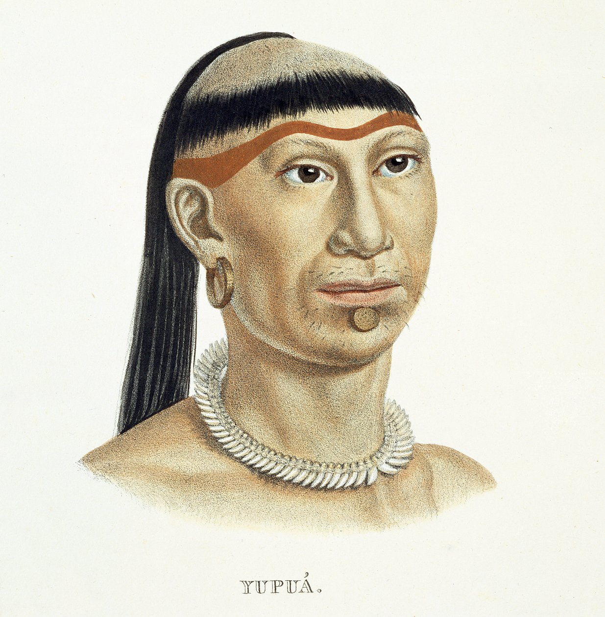 Johann Baptist von Spix (1781-1826) ve Karl Friedrich Philipp Mar tarafından Brezilya