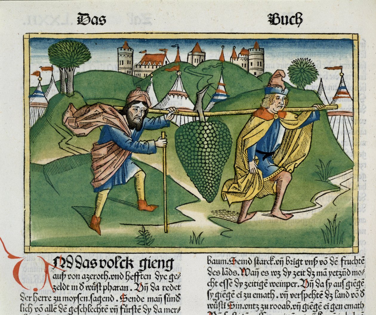 Sayılar 13 23 Nürnberg İncilinden Eshcol Üzümleri (Biblia Sacra Germanica) (renkli gravür) by German School