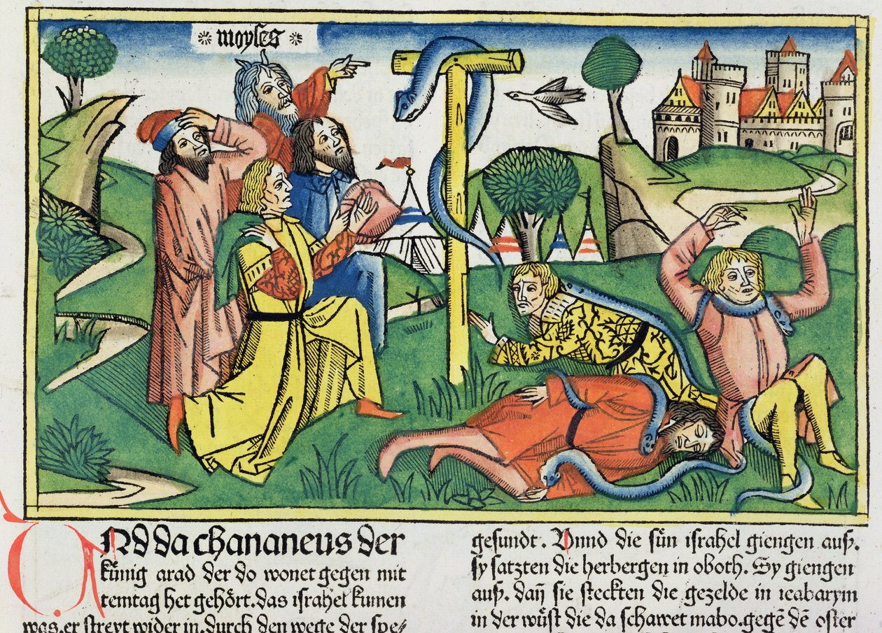 Sayılar 21 4-9 Zehirli yılanlar, Nürnberg İncilinden (Biblia Sacra Germanaica) (renkli gravür) asi İsraillileri ısırıyor by German School