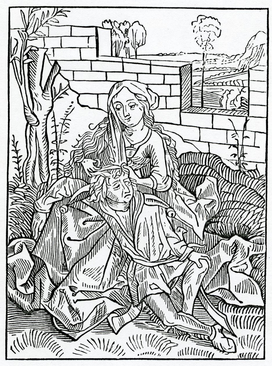 Of folys that can nat kepe secrete theyr owne counsell, illustration from Alexander Barclay