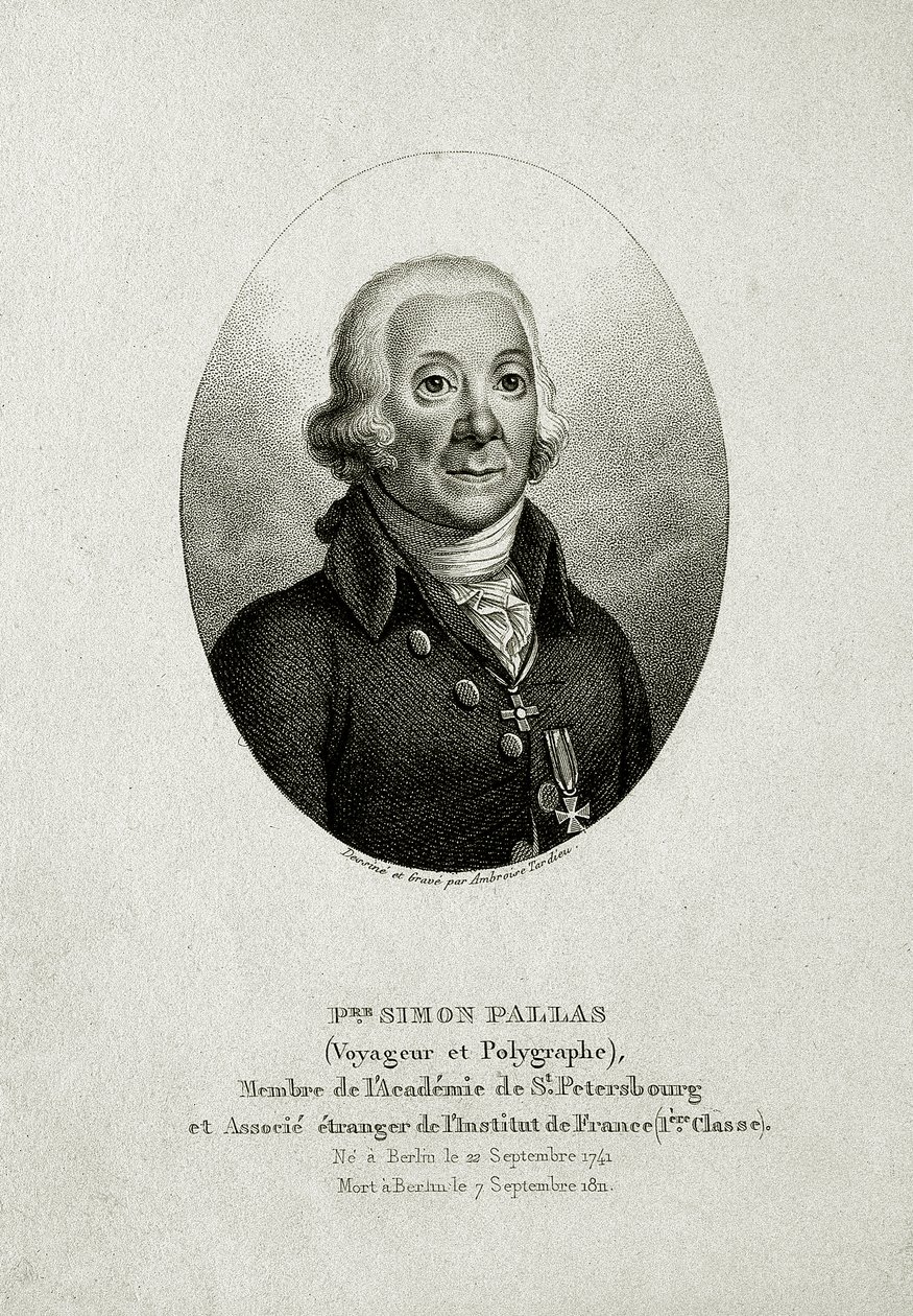 Peter Simon Pallas
