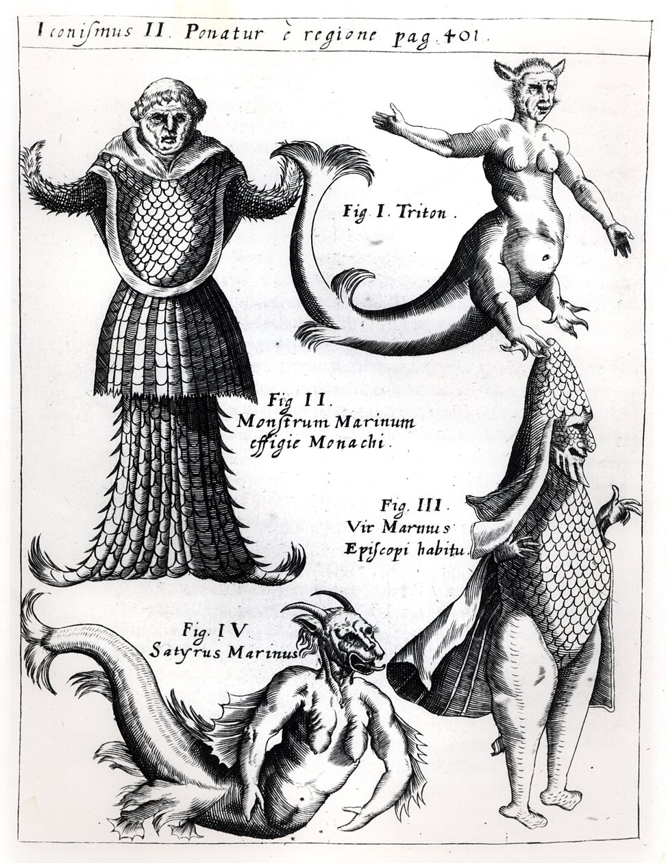 Deniz canavarları, Physica Curiosa