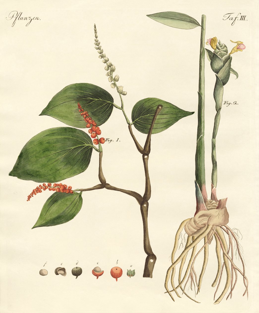 Baharat by German School