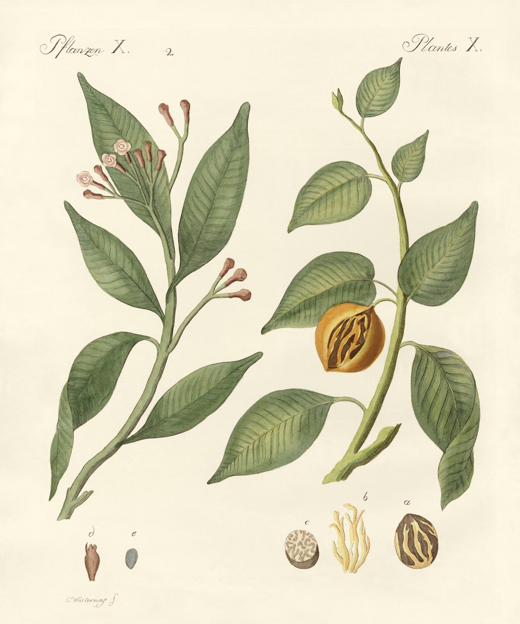 Baharat by German School
