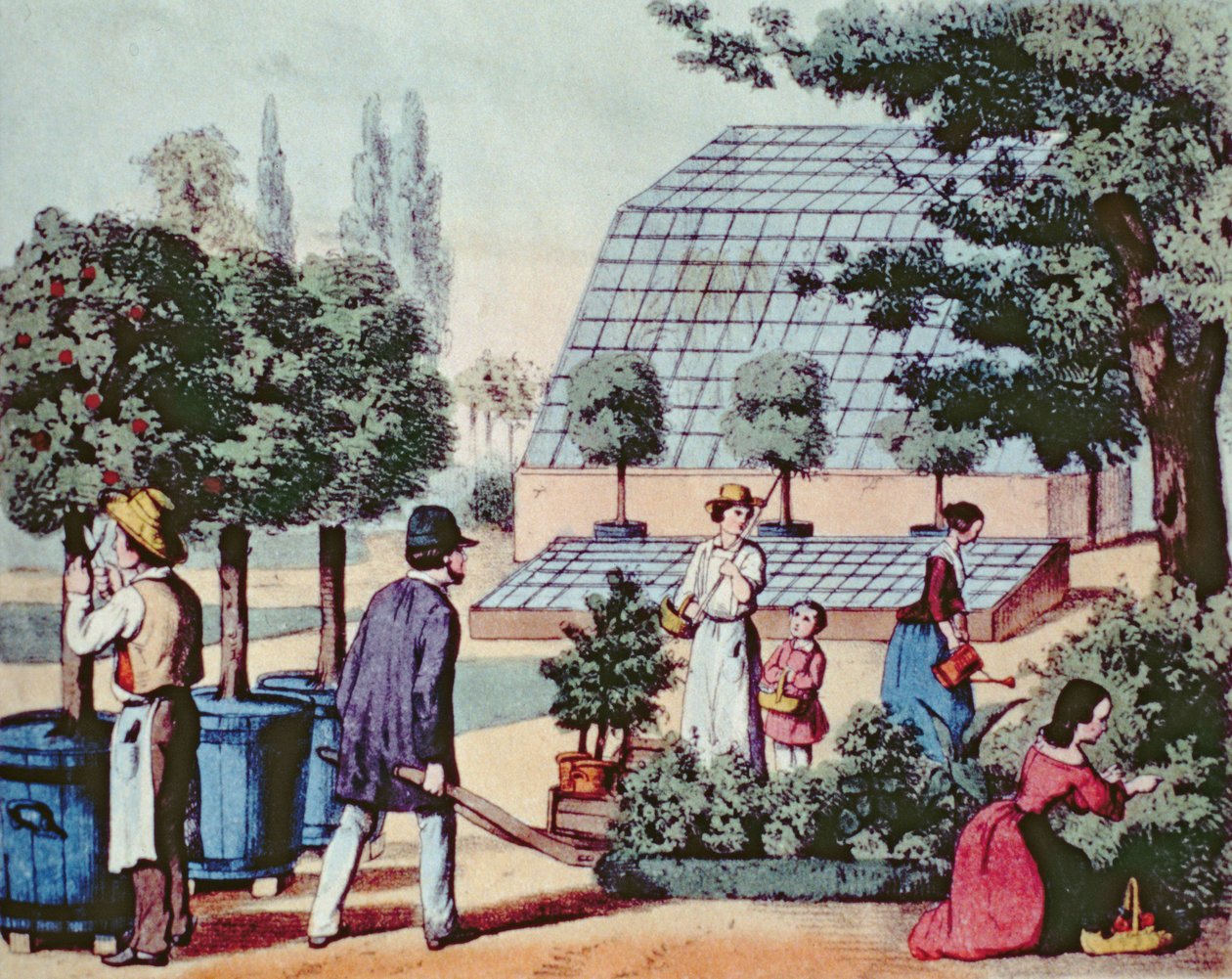 Bahçeye Bakmak, 1860 dolayları (renkli gravür) by German School