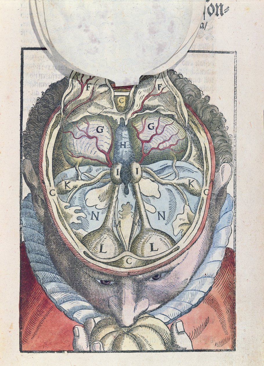 Ophthalmodouleia