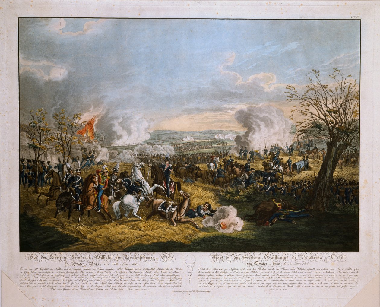 Brunswick