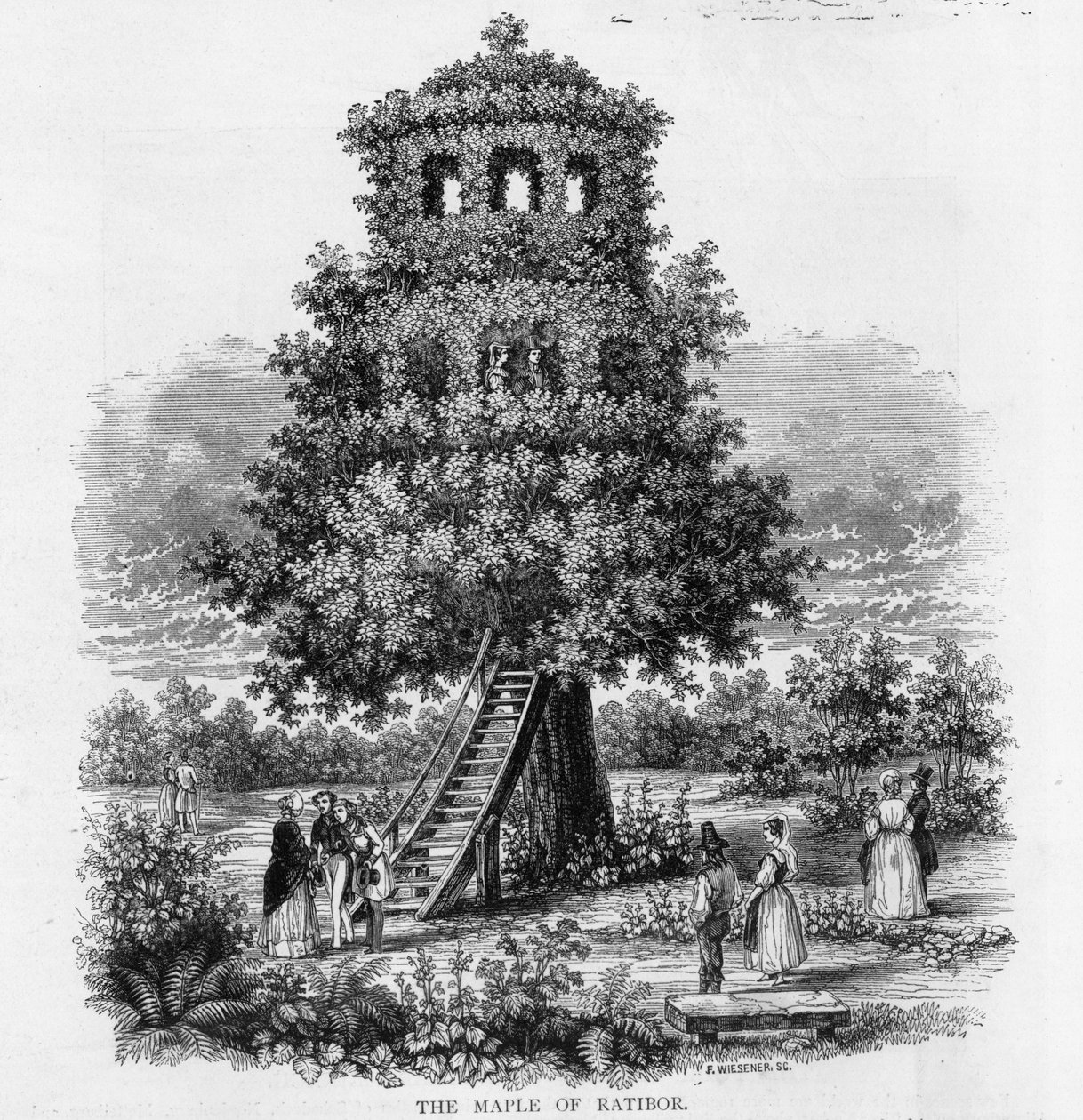 Ratibor Akçaağaç, Silezya, 1893 by German School