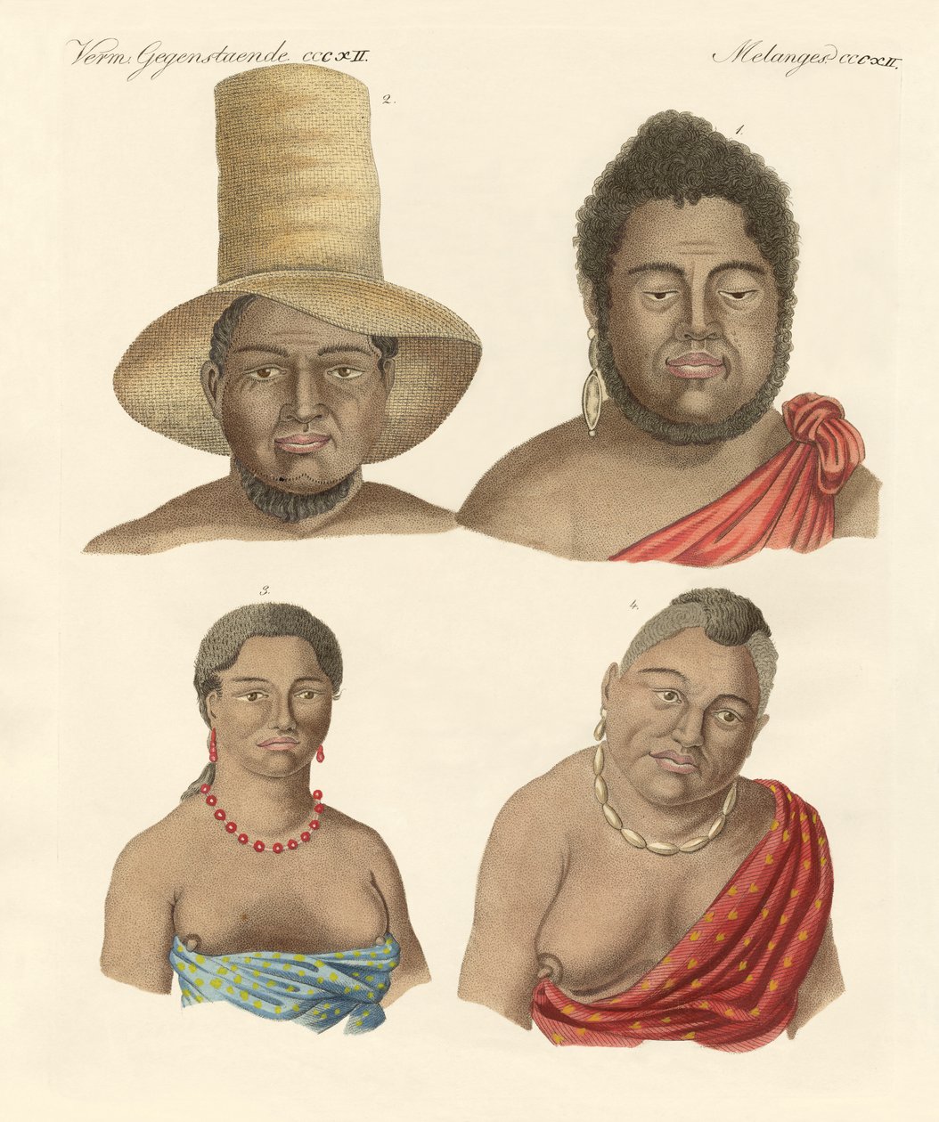 Sandwich Islanders (renkli gravür) by German School