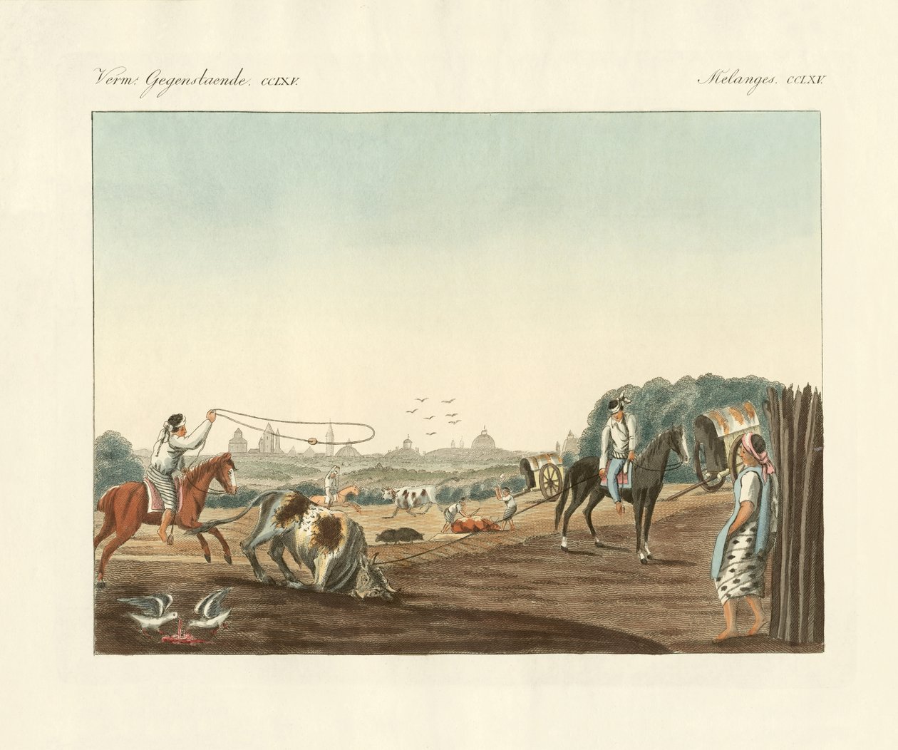 Matadero