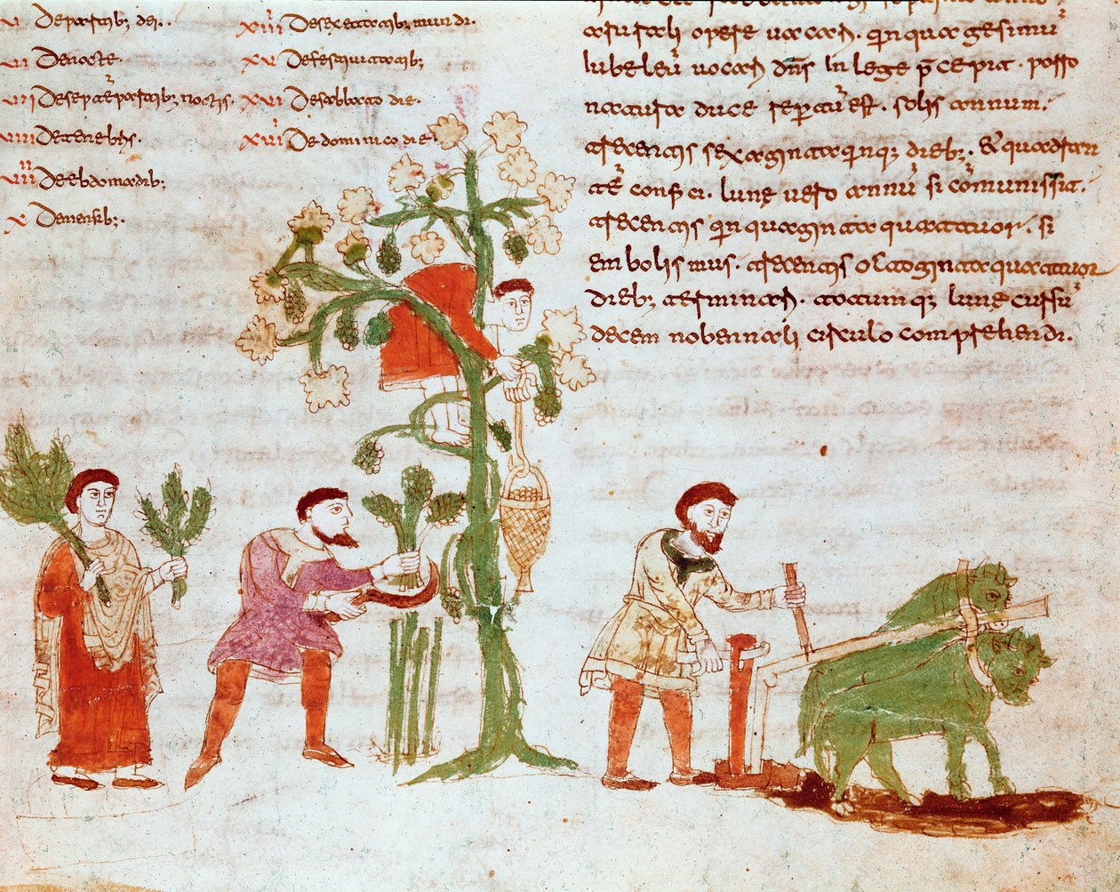 Dört mevsim: çiftçilik ve üzüm toplama sahnesi (hasat). Rabanus Maurus Magnentius (veya Raban Maur veya Rabano Mauro) (yaklaşık 780-856) tarafından yazılan “” De Universo”” (veya De rerum naturis (Nesnelerin Doğasına Dair) (kod. 132) el yazmasından minyatü by German School