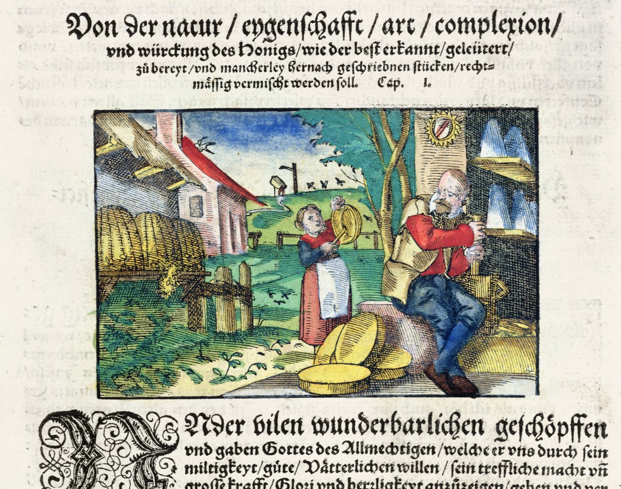 Balın Tıpta iyileştirici ve tedavi edici kullanımları, 1573