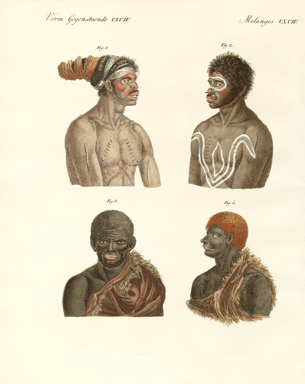Avustralya sakinleri (renkli gravür) by German School