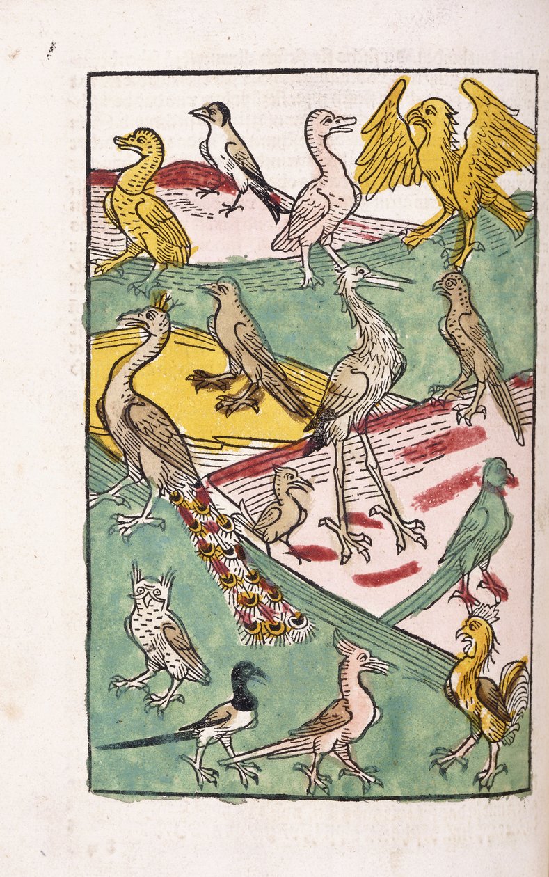 Bir manzaradaki çeşitli kuş türleri, 1499 by German School