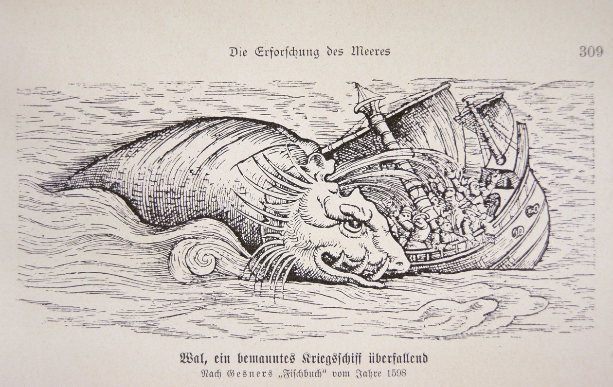 Bir gemiye saldıran balina by German School