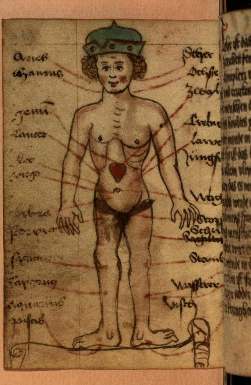 Dualar ve astrolojik figürlerden oluşan bir koleksiyondan kalbin konumunu gösteren zodyak diyagramı by German School
