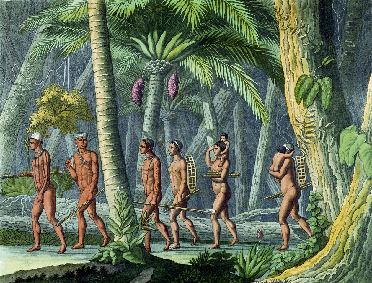 Puris in the Forest, Jules Ferrario tarafından yazılan 