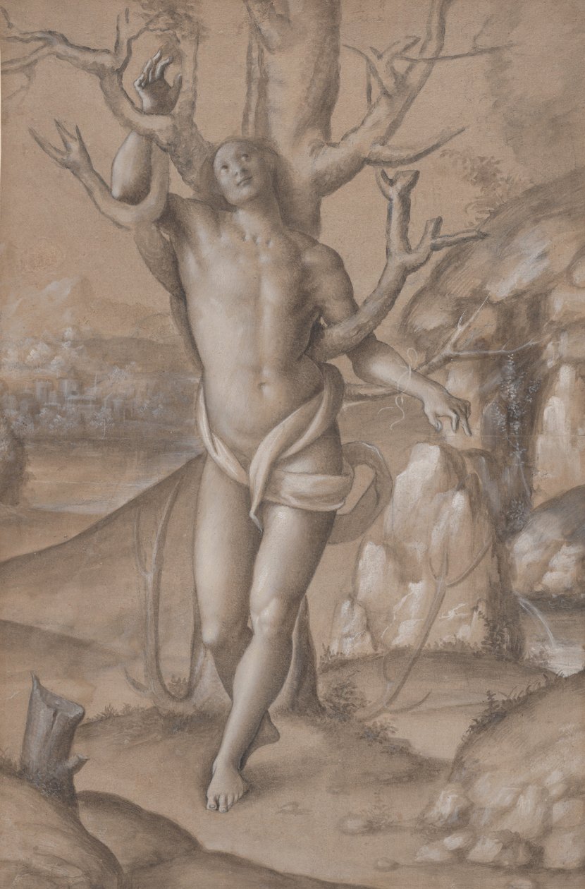 Aziz Sebastian, yaklaşık 1524. by Gerolamo Giovenone