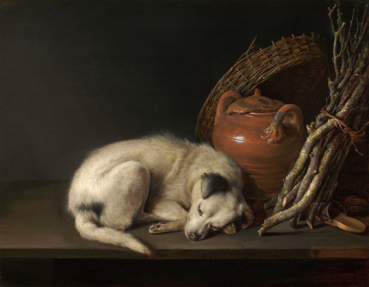  by Gerrit Dou
