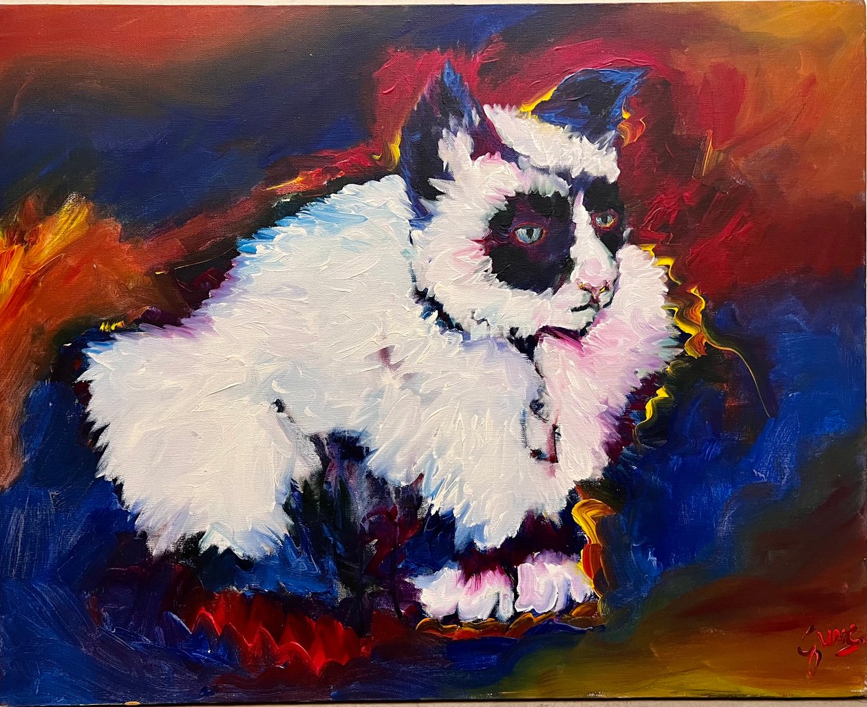Kedi Bungee by Gerrit Greve