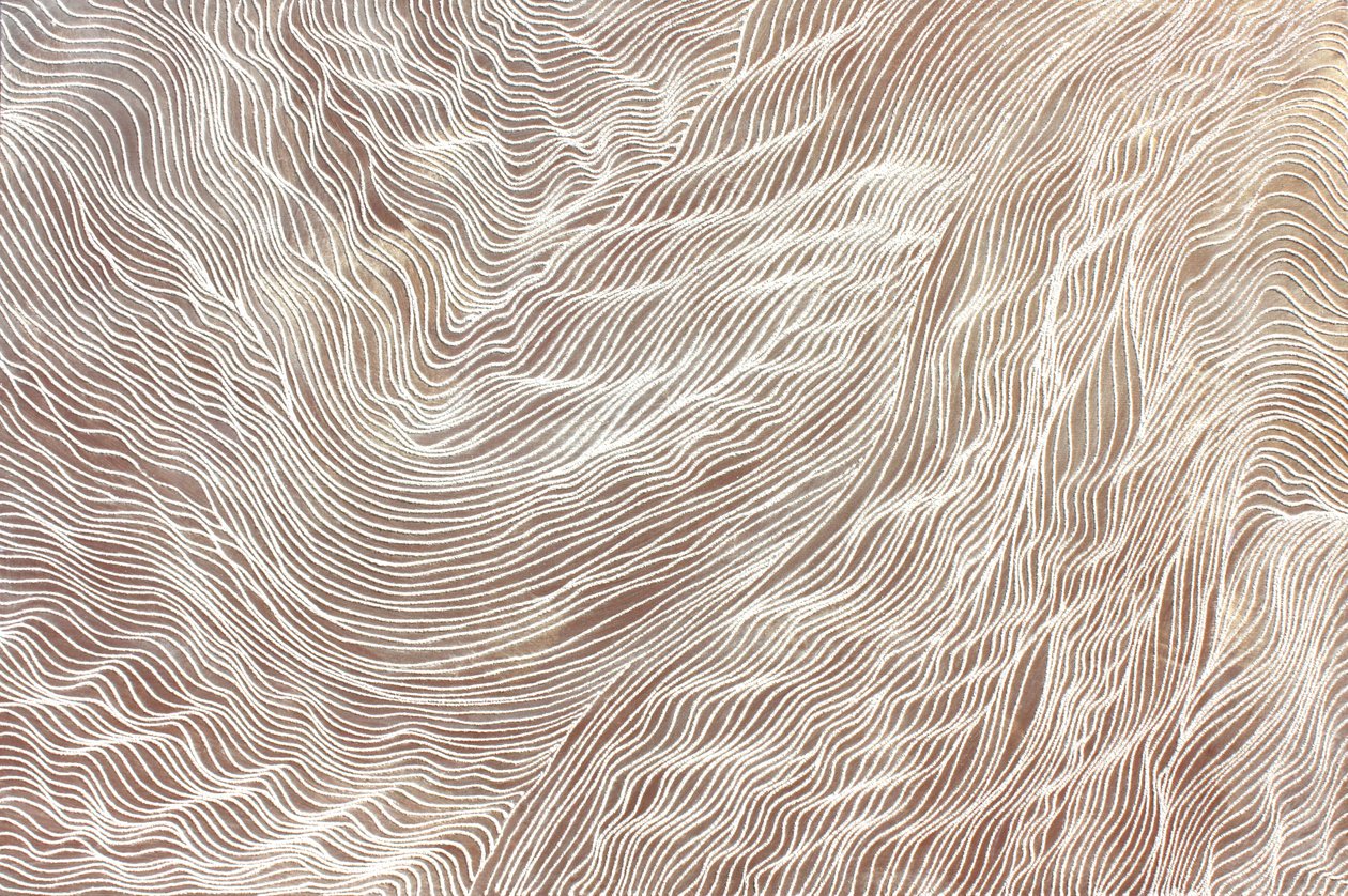 Yolculuk 298, 2010 (tuval üzerine kum ve akrilik) by Gerrit Greve
