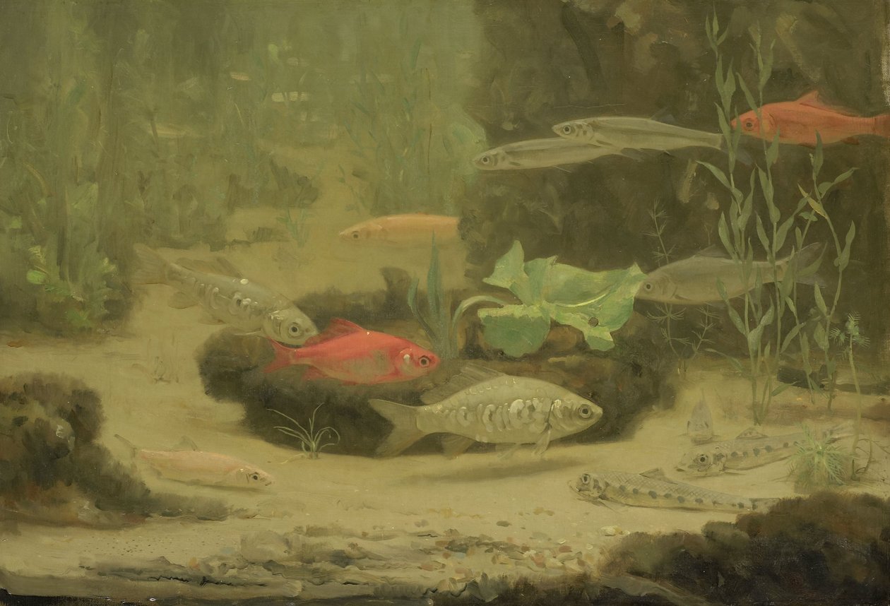  by Gerrit Willem Dijsselhof