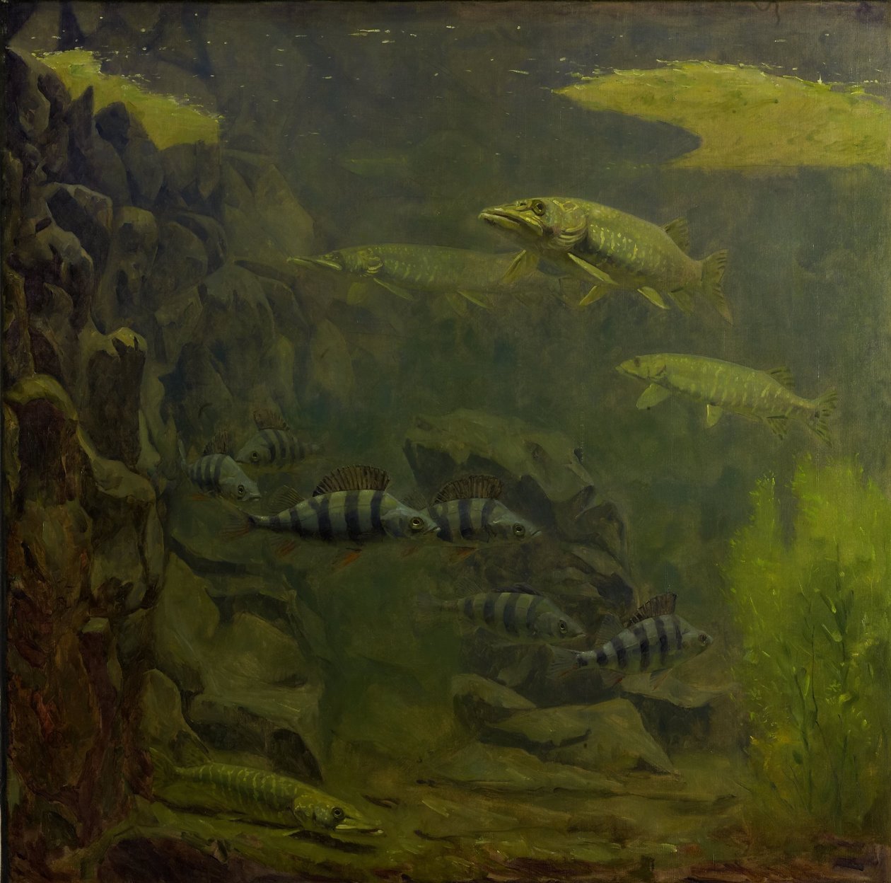 Akvaryumda Pike ve Levrek by Gerrit Willem Dijsselhof