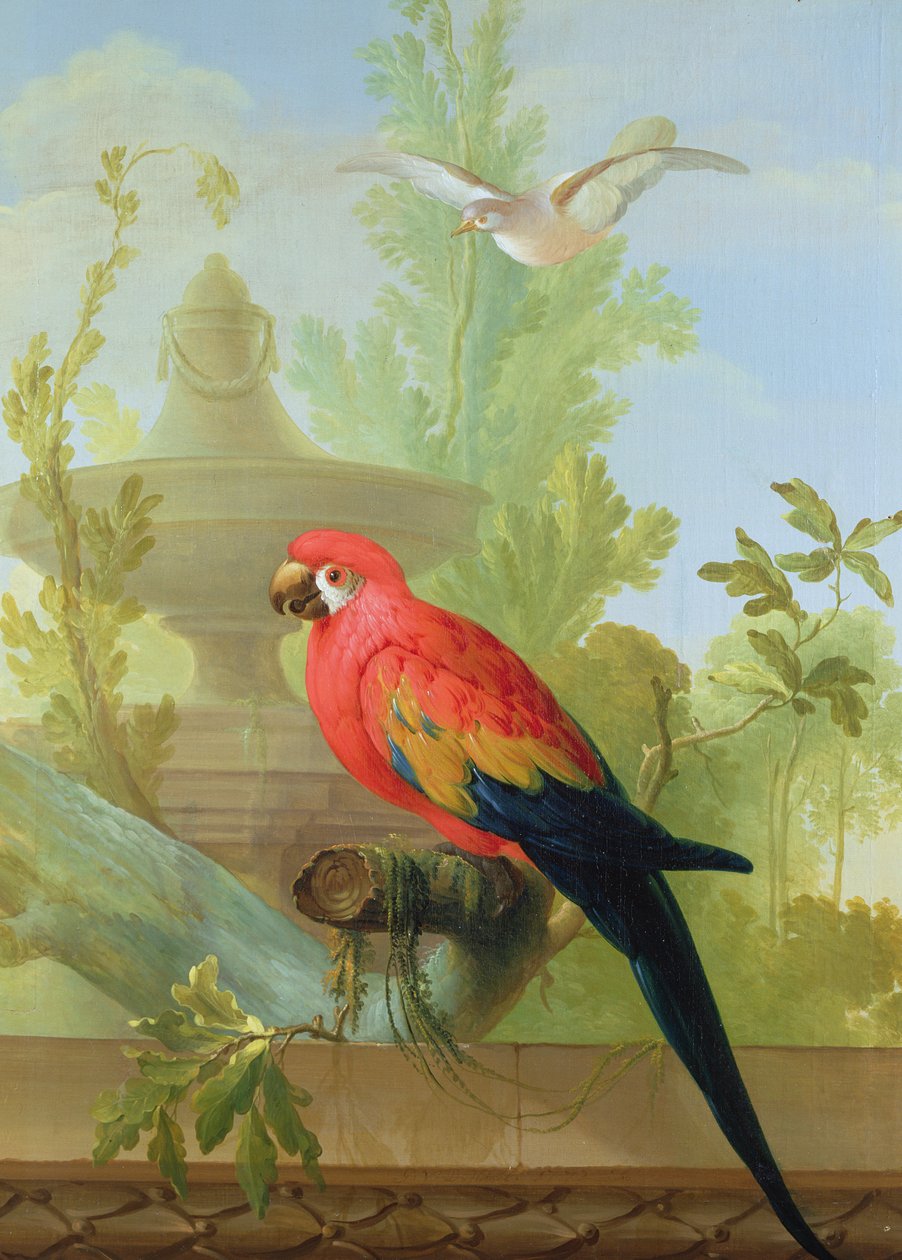 Süs Bahçesinde Bir Amerika Papağanı ve Bir Güvercin, 1772 by Gerrit van den Heuvel
