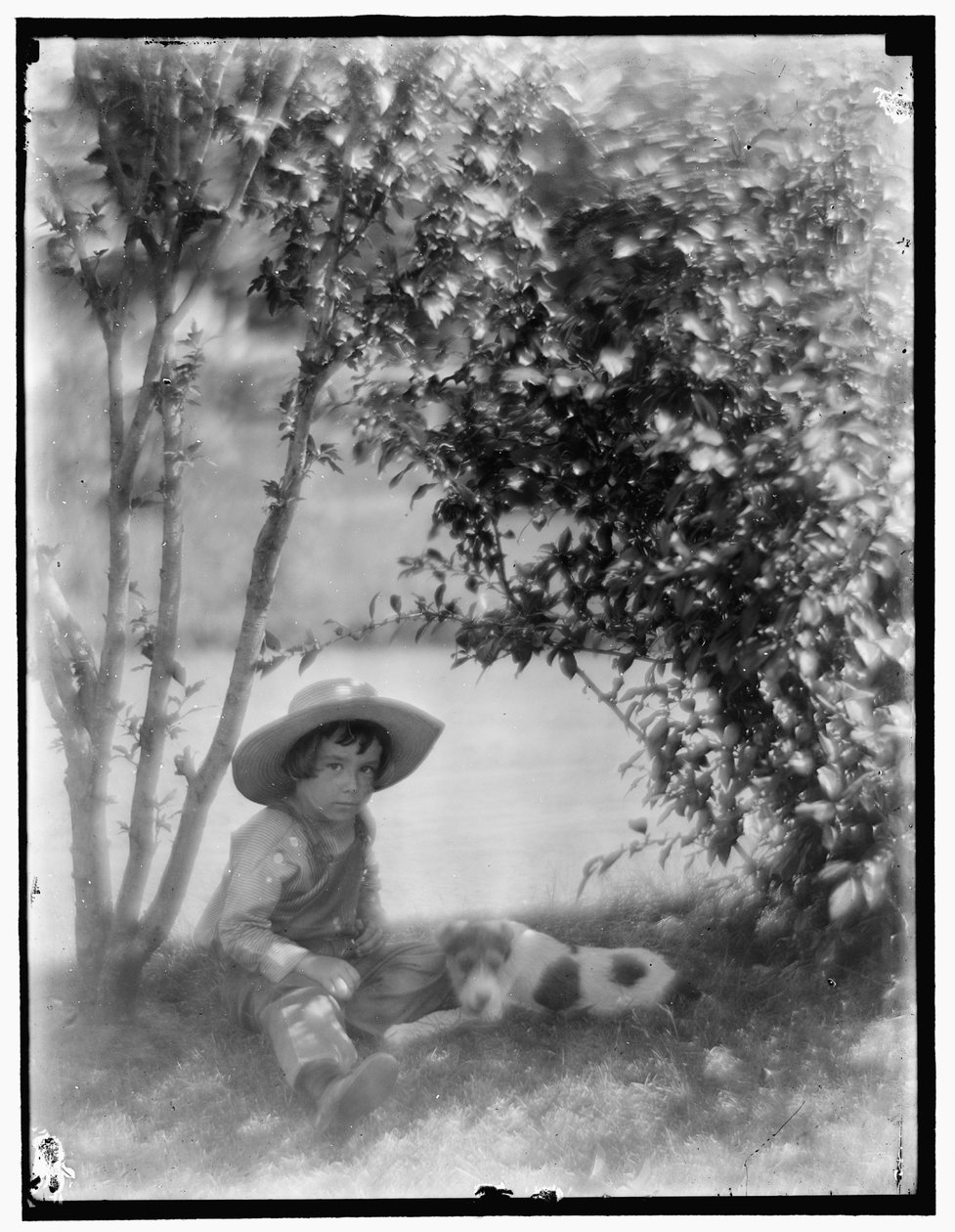 Köpekli çocuk by Gertrude Käsebier