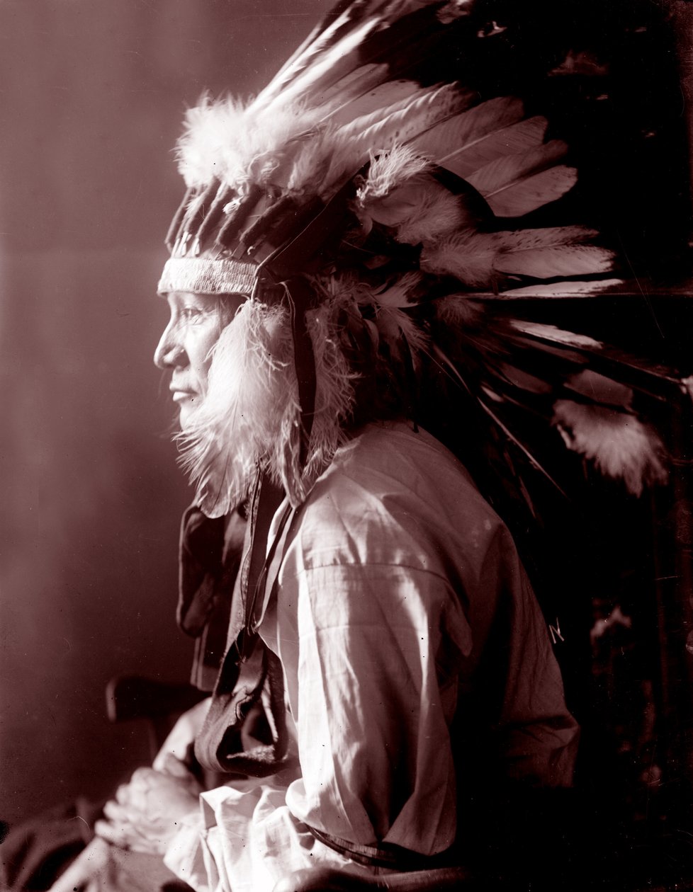 kasırga atı by Gertrude Käsebier