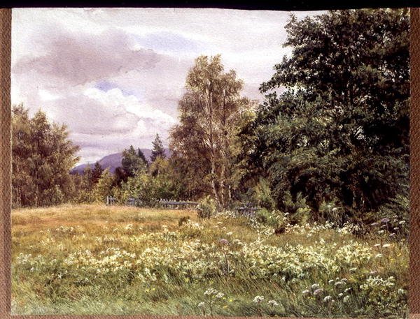 Polchar, Aviemore, İskoçya yakınlarında çayır-tatlı by Gertrude Martineau