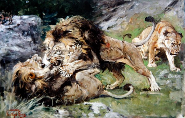 Barbary Lions Fighting, 1890 dolayları (tuval üzerine yağlı boya) by Geza Vastagh