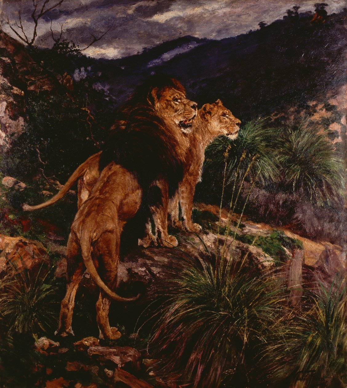 Aslan Stalking (tuval üzerine yağlı boya) by Geza Vastagh