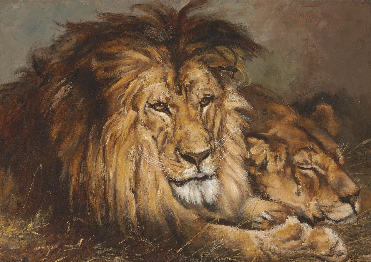 "Aslan ve Dişi Aslan Dinleniyor" için eskiz, 1899 by Geza Vastagh