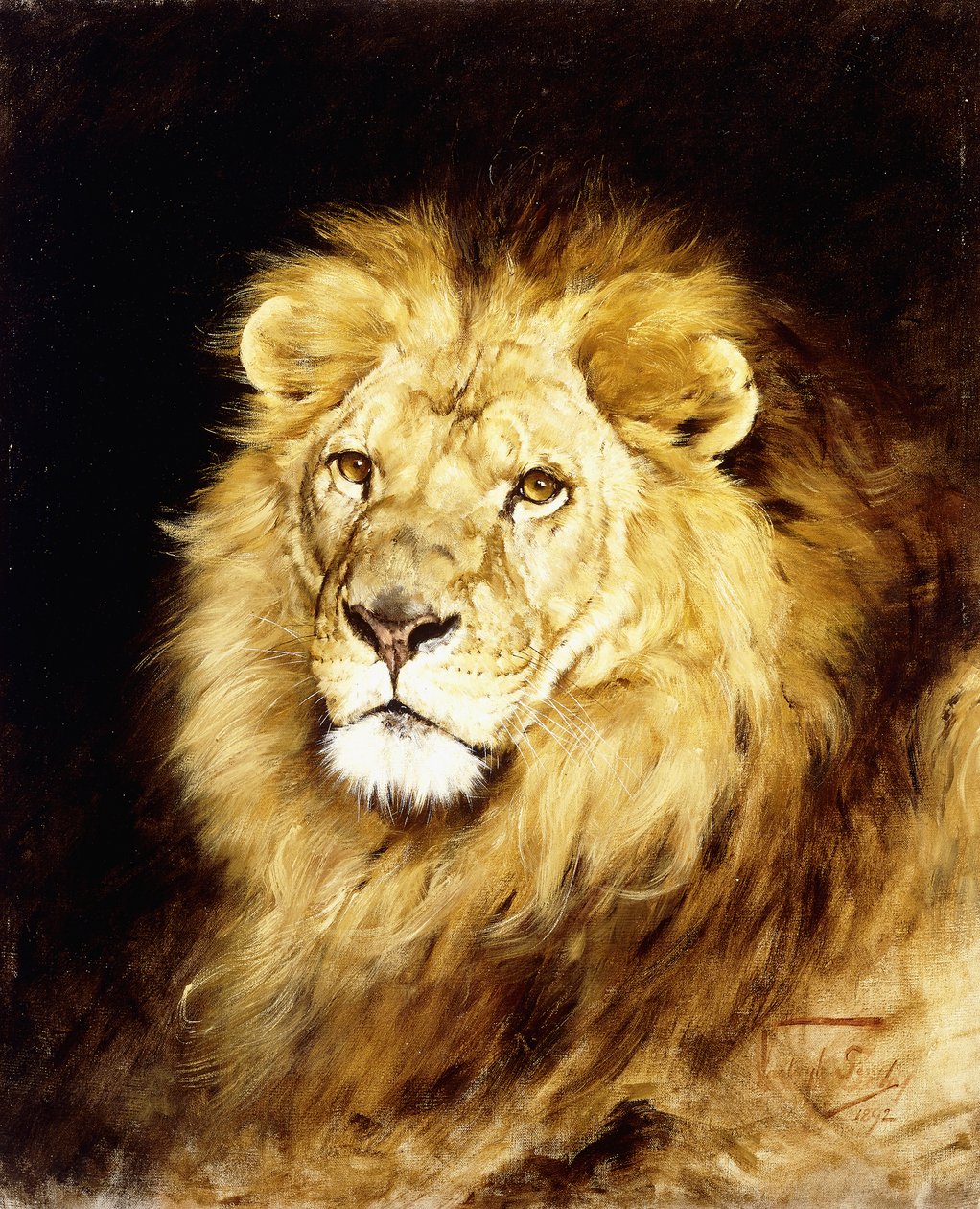 Aslan başı, by Geza Vastagh