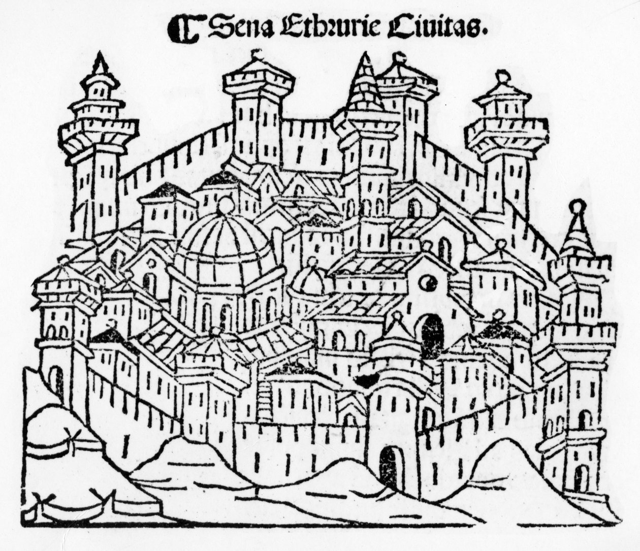 Siena