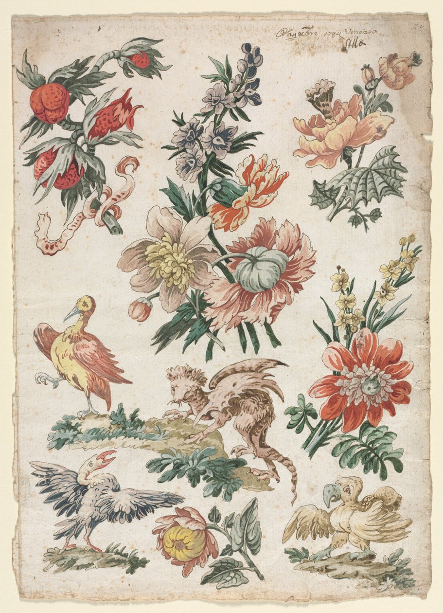 Kuşlar ve Griffon ile Çiçek Tasarımları, 1784. by Giacomo Cavenezia