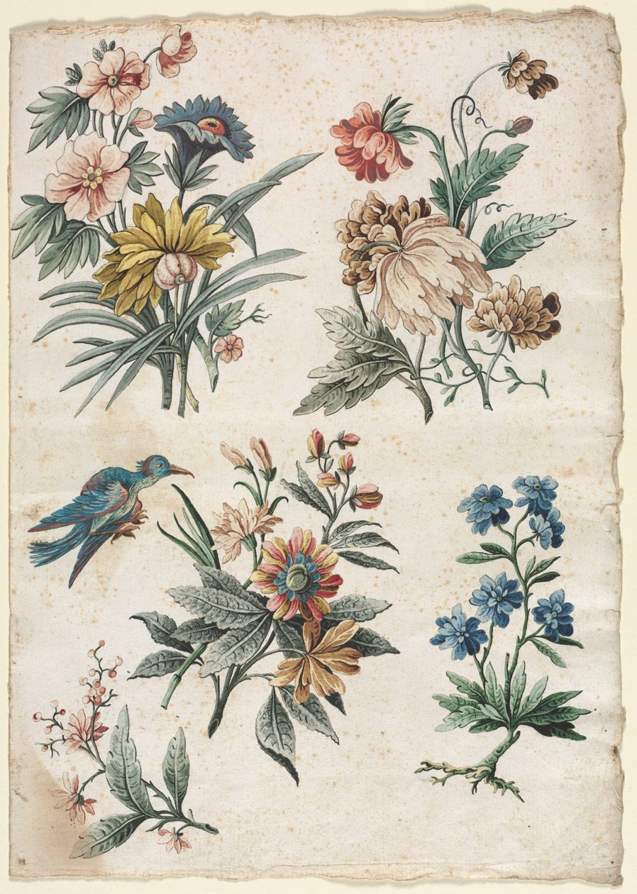 Mavi Kuşlu Çiçek Desenleri, c. 177374. by Giacomo Cavenezia