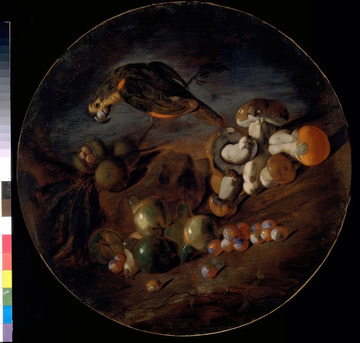 Mantar, meyve ve papağan ile natürmort by Giacomo Fardella de Calvello