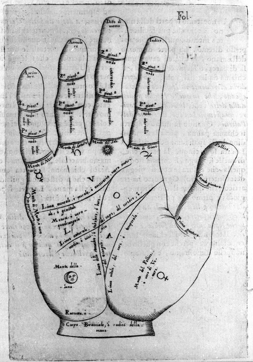 Chiromancy ve kehanet tahmini: kişiliğin yorumlanmasına izin veren elin farklı çizgilerinin temsili. Giambattista della Porta (1537? -1615) 1589