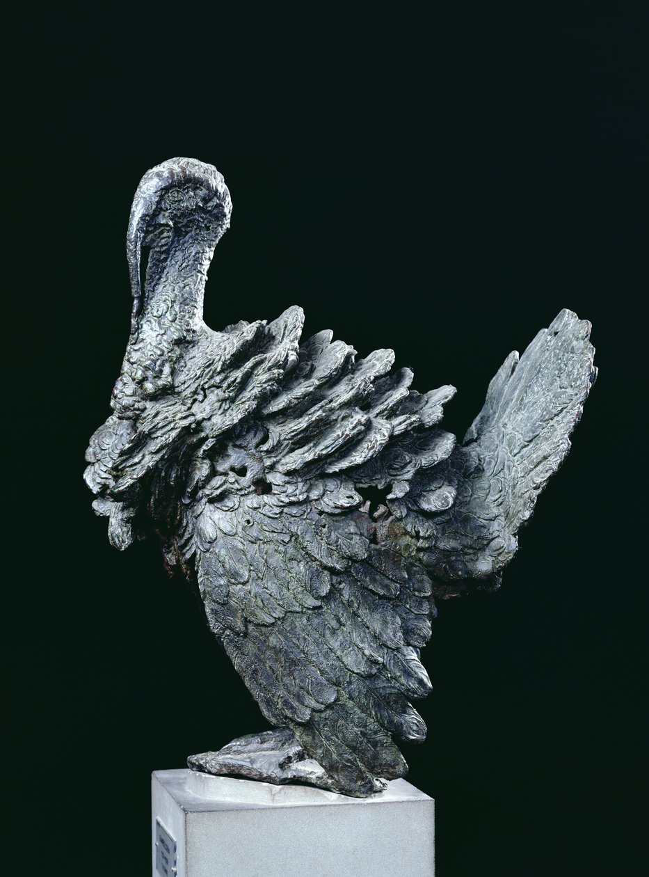 Türkiye (bronz) by Giambologna
