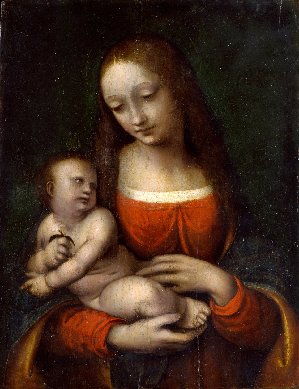 Bakire ve Çocuk, 1510-1515 by Giampietrino