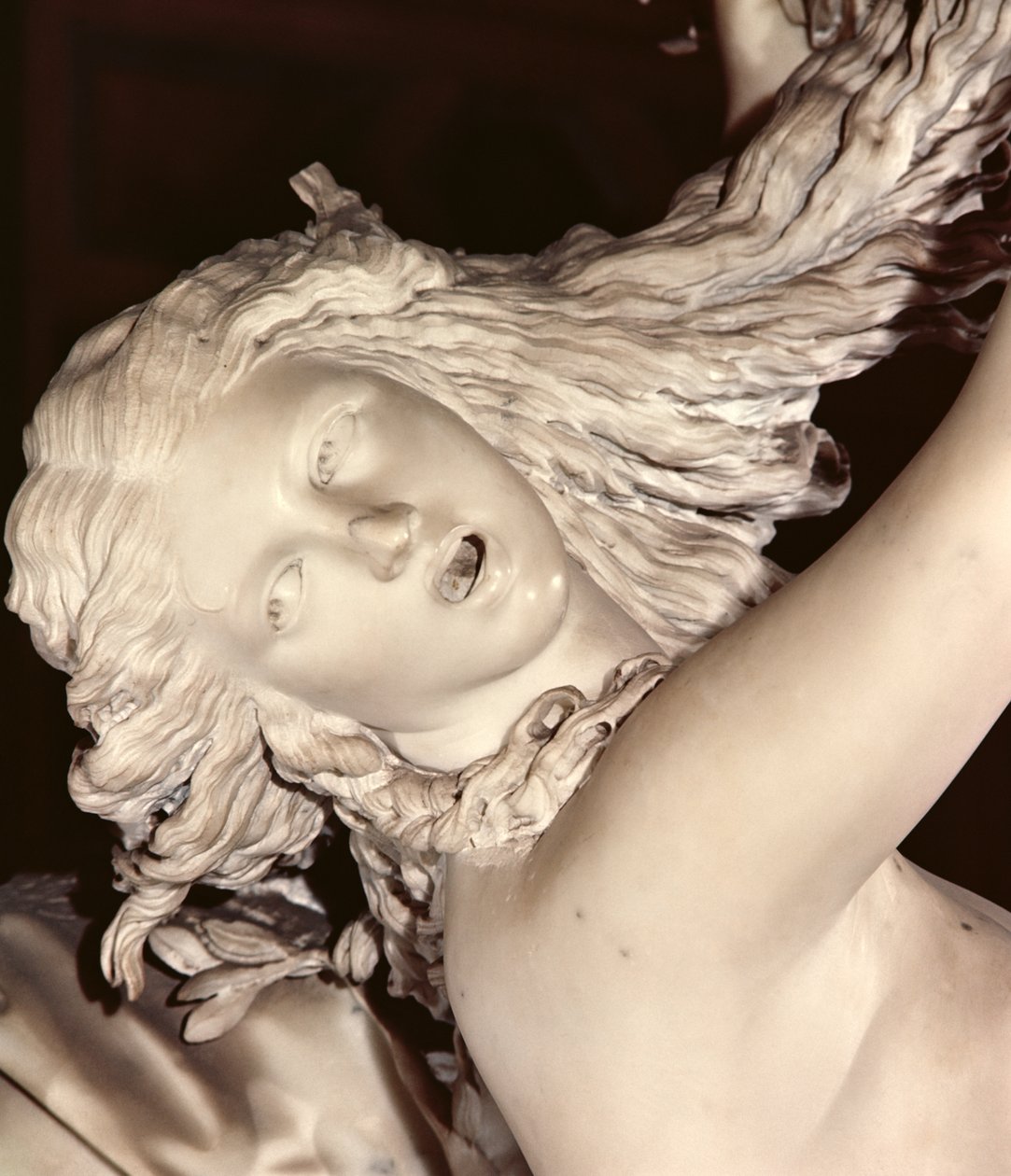 Apollo ve Daphne, Daphnes başının detayı, 1622-25 mermer by Gian Lorenzo Bernini