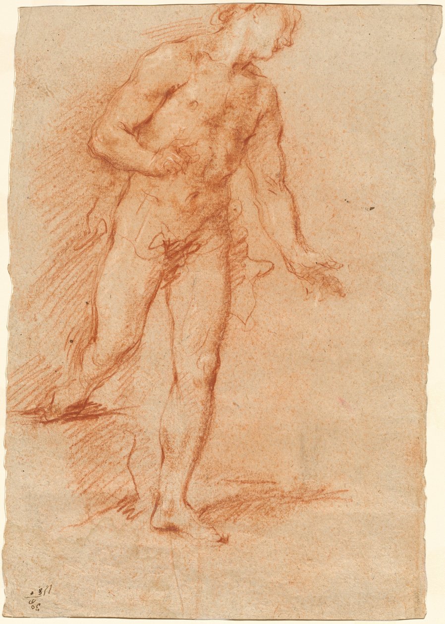 erkek çıplak by Gian Antonio Guardi