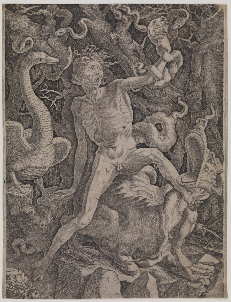 öfke alegorisi by Gian Jacopo Caraglio