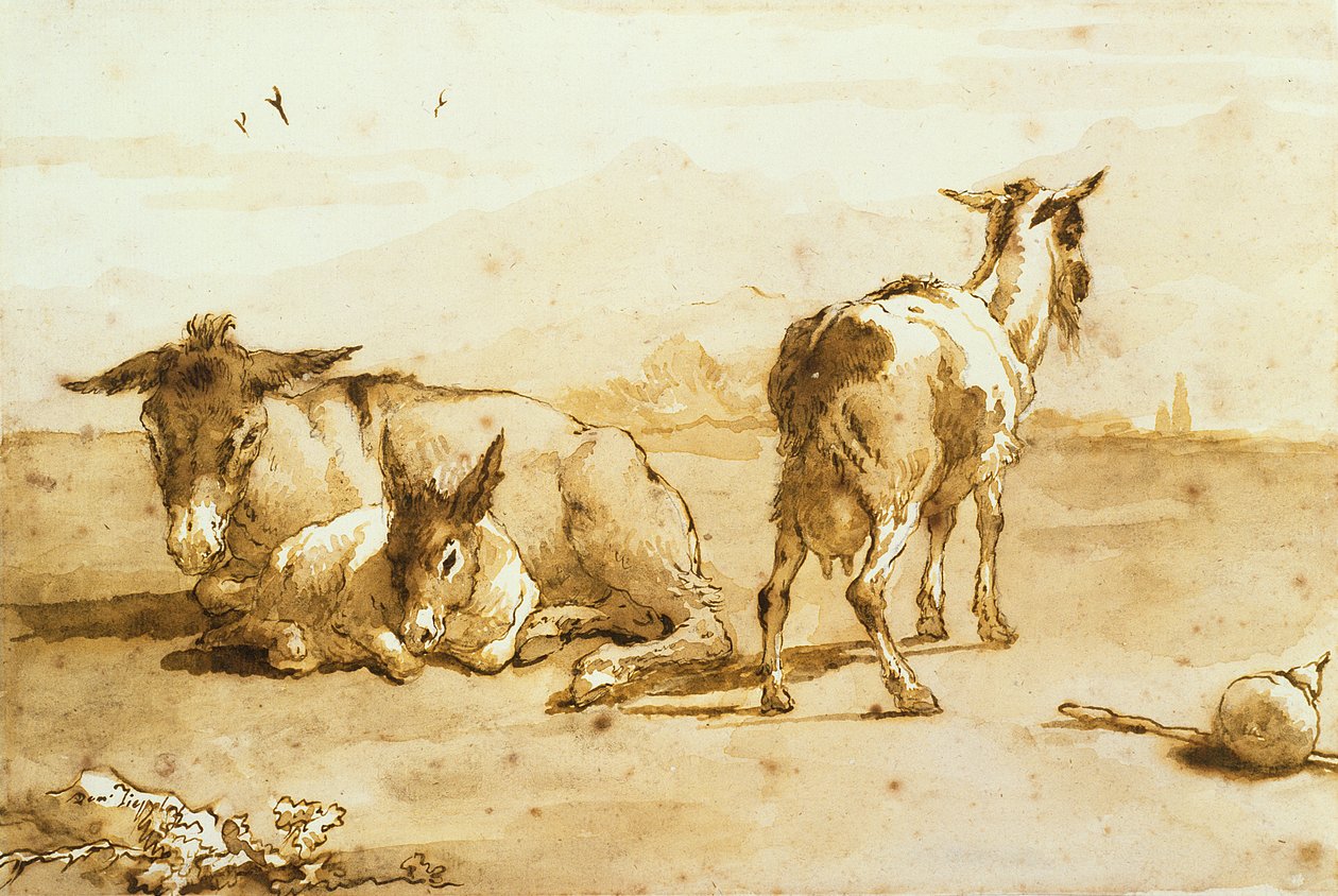 PD.32-1959 Manzarada İki Eşek ve Keçi (kağıt üzerinde yıkama ile kalem ve kahverengi mürekkep) by Giovanni Domenico Tiepolo