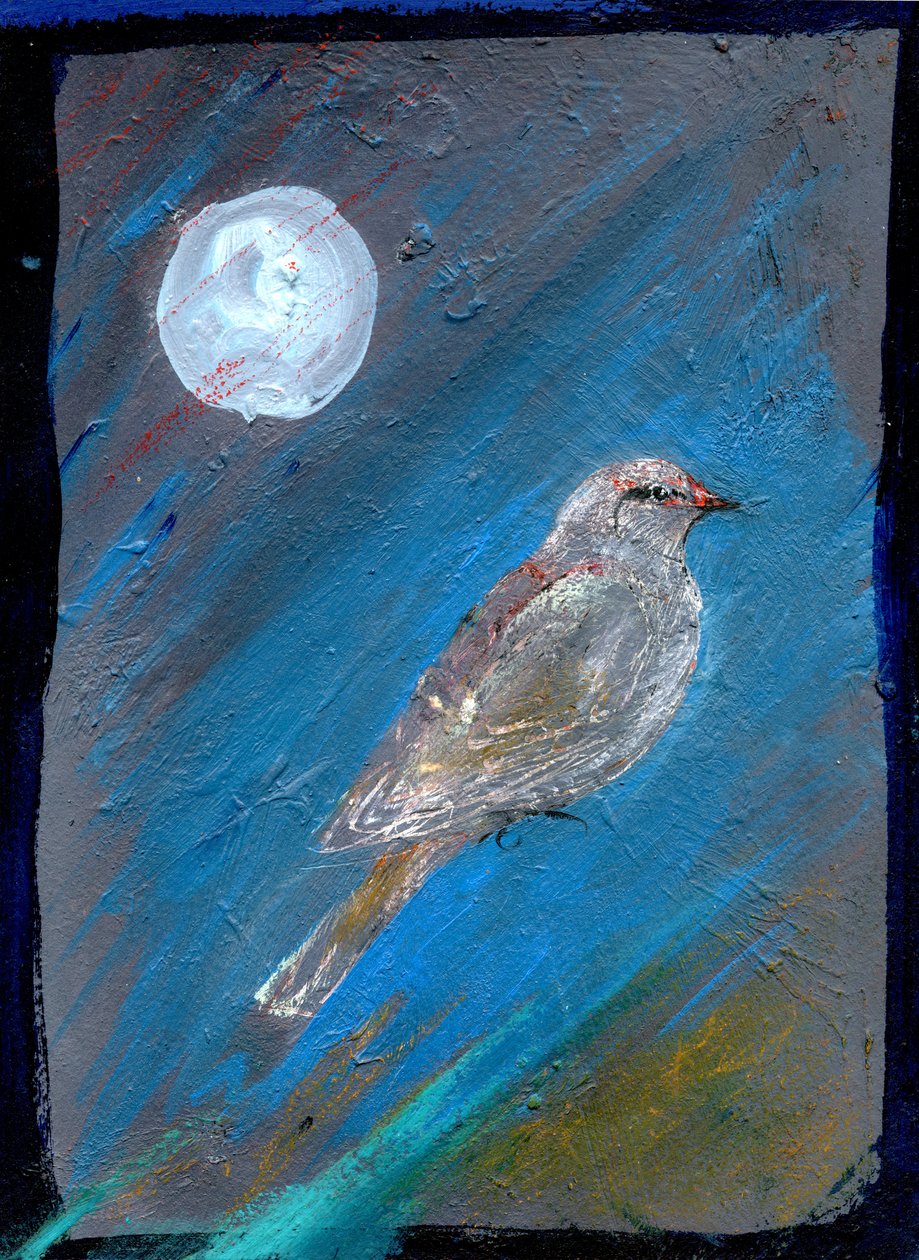 Ay Kuşu, 2016, (kağıt üzeri yağlı boya) by Gigi Sudbury